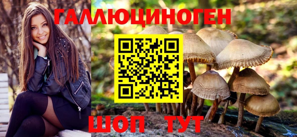 Ярцево  Псилоцибиновые грибы мухоморы  Вход с VPN  Галлюциногенные грибы Psilocybe 
